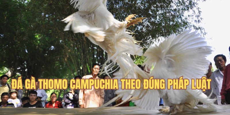 Giải trí theo quy định pháp luật Campuchia