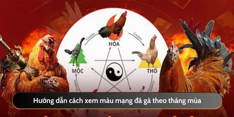 Hướng dẫn cách xem màu mạng đá gà theo tháng mùa