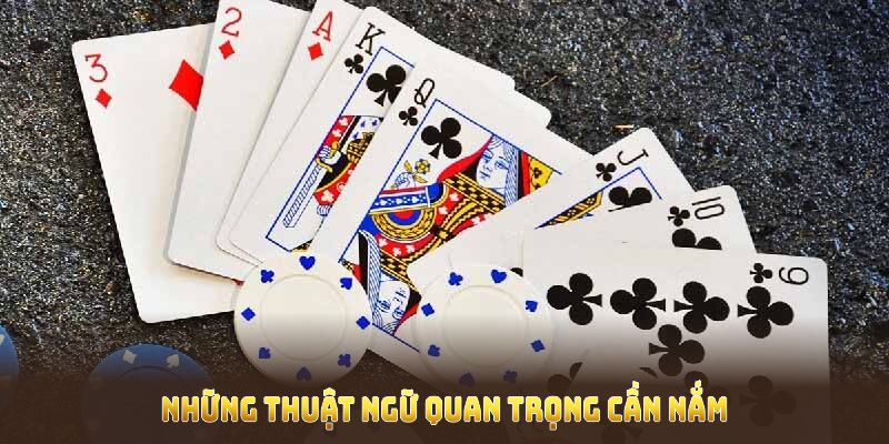 Những thuật ngữ quan trọng cần nắm kỹ trước khi chơi