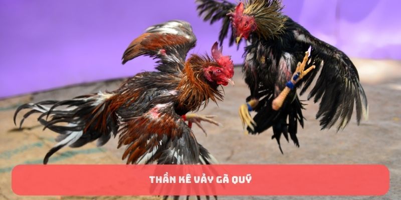 Tìm hiểu về thần kê vảy gà quý