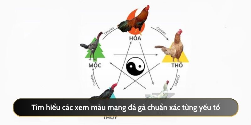 Tìm hiểu các xem màu mạng đá gà chuẩn xác từng yếu tố