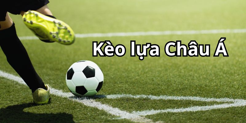 Kèo lựa Châu Á thu hút đông đảo người chơi tham gia