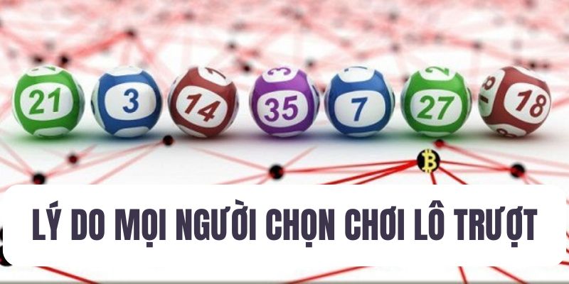 Tại sao mọi người chọn chơi lô trượt?