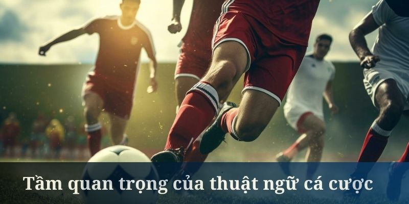 Thuật ngữ cá cược bóng đá là thông tin rất quan trọng